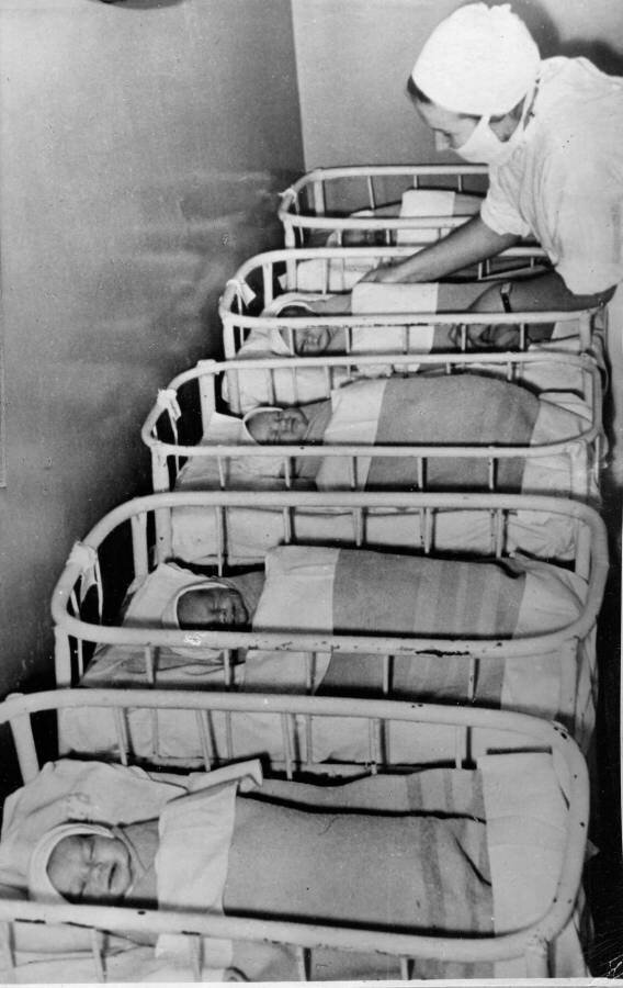 фото: яндекс