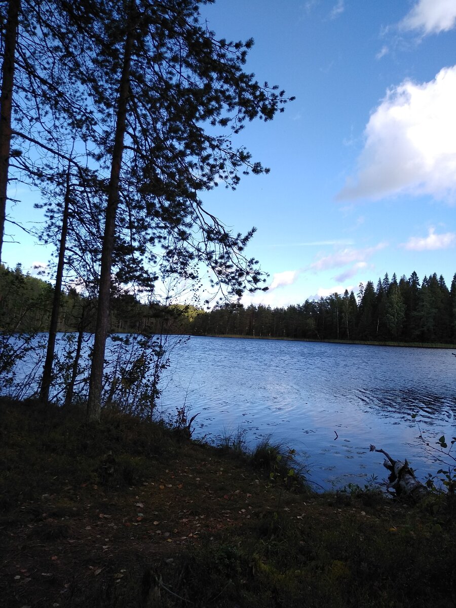 Природа Валдая.