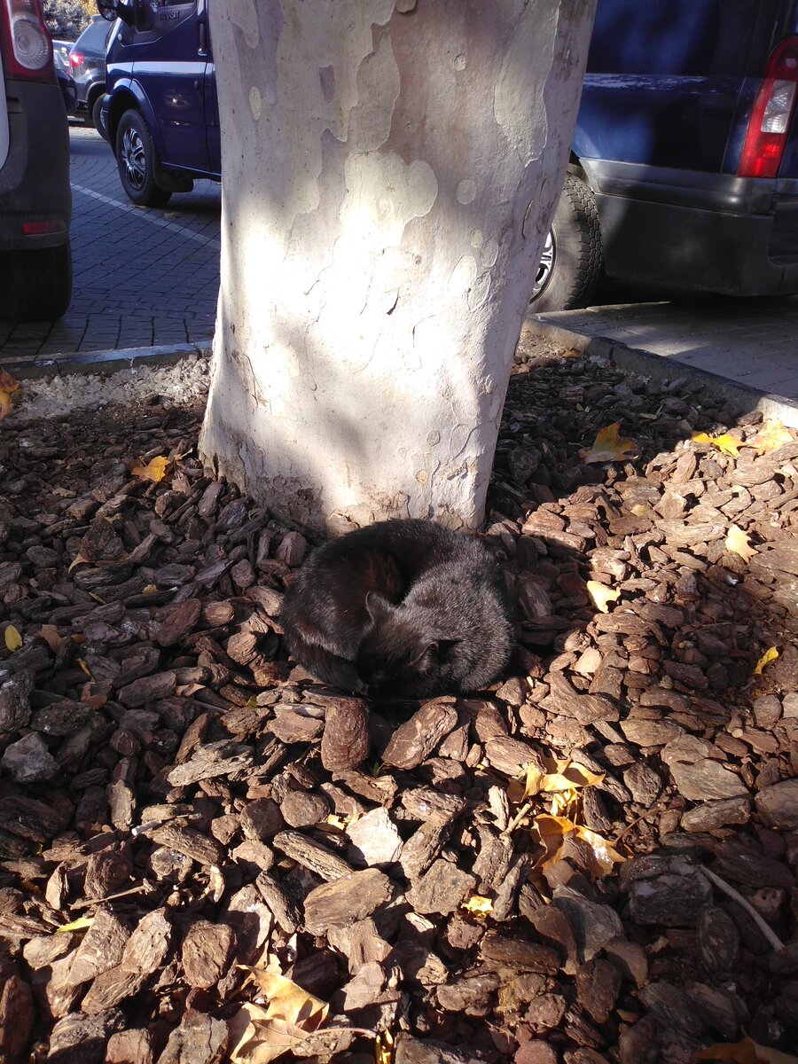 Личное фото