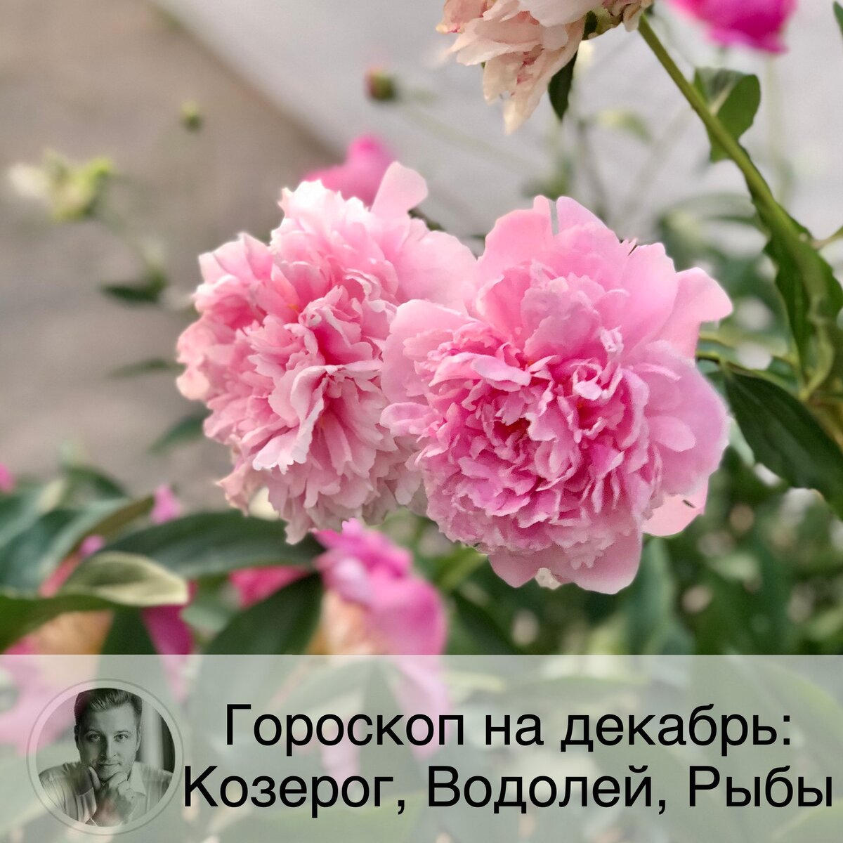 Подписывайтесь и ставьте 👍
Гороскоп для всех знаков зодиака можно посмотреть на моем сайте в разделе «Статьи». Также как и нумерологический прогноз по дате рождения на 2020 г. и тайну своего имени. В личном кабинете, зарегистрировавшись по ссылке в описании профиля, или забив в поисковике "астролог Олег Персидский" 👩🏼‍💻

🐐 Козерог
❤️ Декабрь - время гармонии в семье, когда вы будете с удовольствием проводить время дома. Одиноким Козерогам лучше быть осторожнее и не совершать поступков или говорить вещи, о которых вы можете пожалеть впоследствии.
💶 Это месяц передышки: Козерогам надо подвести итоги уходящего года и подготовиться к свершениям нового. Не стоит стремиться к активным действиям, лучше наблюдать, но и боятся перемен тоже не стоит. Траты на декабрь лучше рассчитать заранее.
🤒 Стоит опасаться мелких травм. Занятия спортом будут особенно эффективны.

🌊 Водолей
❤️ У одиноких Водолеев может начаться служебный роман. Семейных представителей знака ждет гармония.
💶 В декабре вы будете строить многочисленные планы на наступающий год, но многое из этого не будет реализовано. На работе вас ждет достаточно неоконченных дел, постарайтесь все успеть сделать до нового года. Ваш доход должен вырасти. Декабрь подходит для крупных покупок.
🤒 Не забывайте про физическую активность. Энергии Водолея должно хватить на все задачи декабря.

🐟🐠Рыбы
❤️ В личное жизни Рыб наступит улучшение и положительные изменения. Одинокие представители знака имеют все шансы встретить свою вторую половину. Семейные Рыбы смогут уладить конфликты и придти к компромиссу.
💶 В сфере работы и карьеры декабрь окажется очень удачным месяцем. Вы можете ожидать повышения по службе или по зарплате. Если вы занимаетесь бизнесом, то месяц будет богат на сделки и заключенные договоры. Возможны важные для работы новые знакомства. Финансовая ситуация будет хорошей, ваш доход возрастет.
🤒 Рыбы будут хорошо себя чувствовать в декабре, поэтому можно смело добавить физической активности.