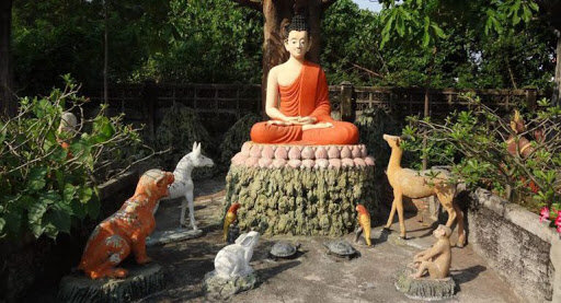 Будда и звери