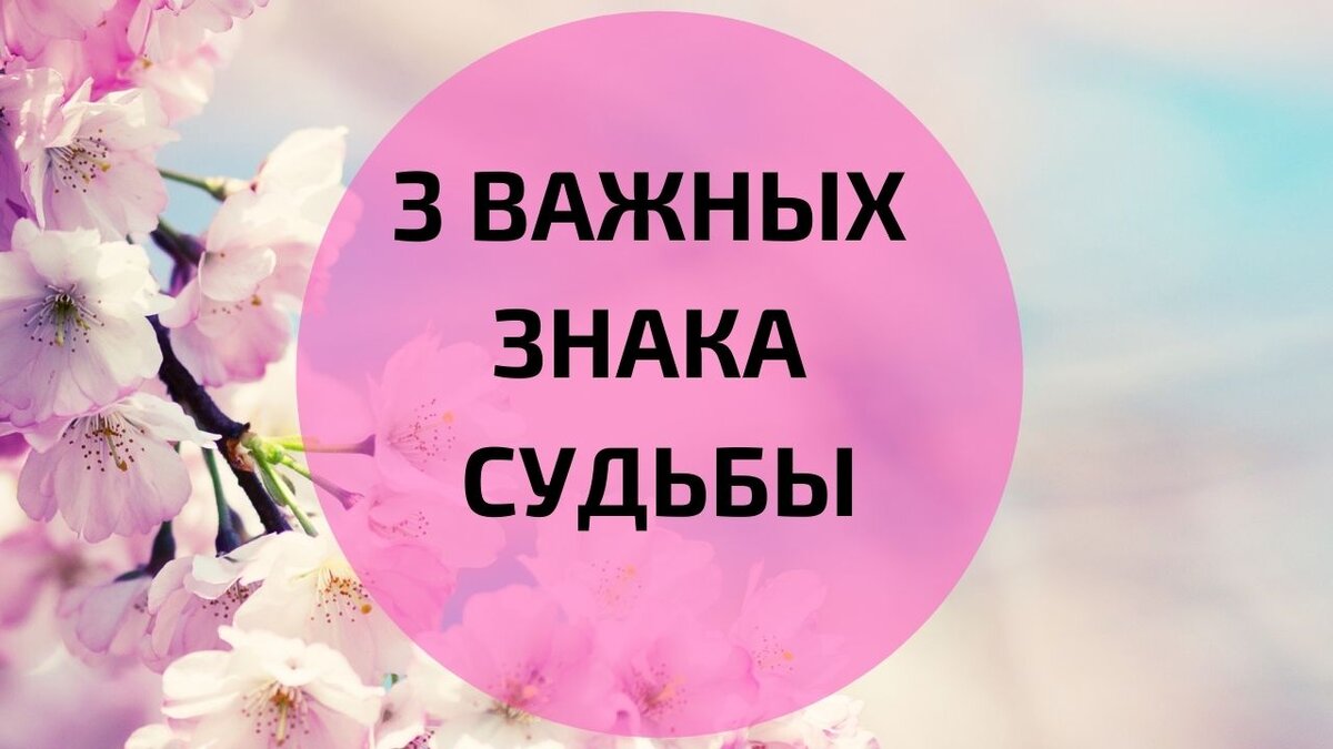 Дарова. Летать во сне. Дарова люди. Какими судьбами здесь что ответить. Какими судьбами.