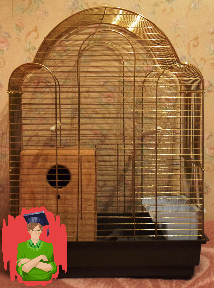 Золотистая клетка в очень хорошем состоянии. 