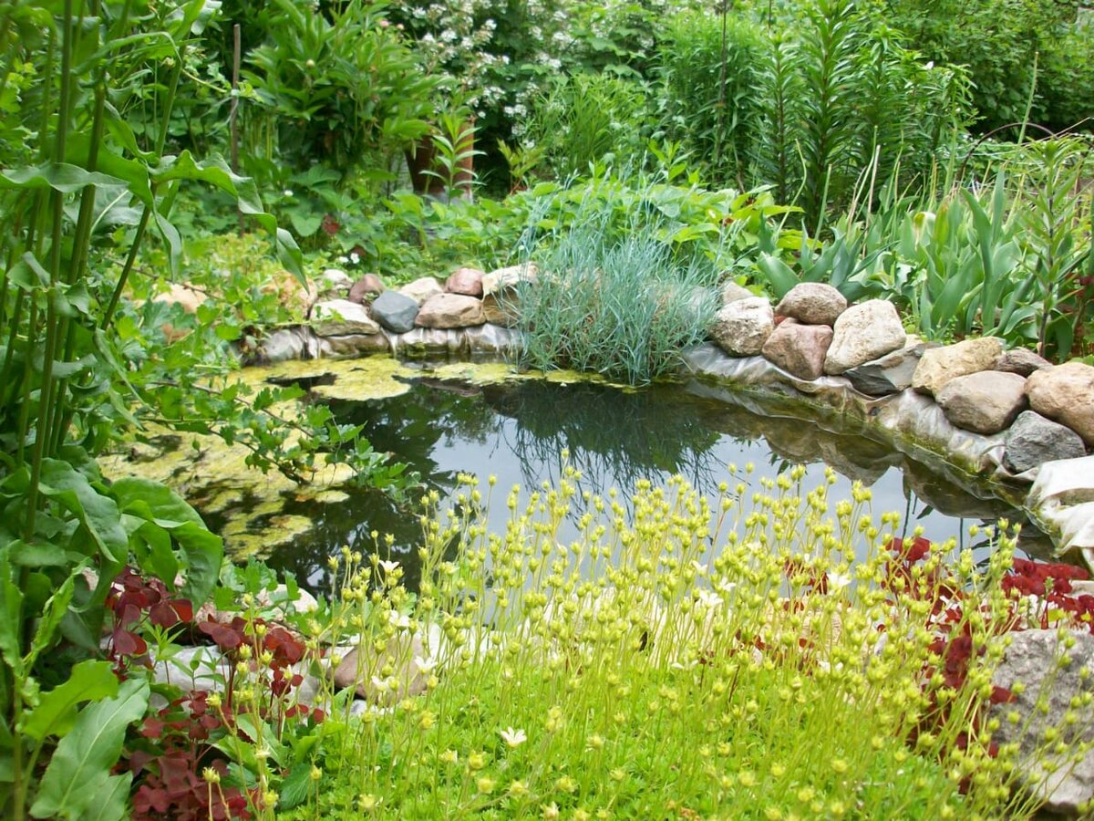 Первый опыт: "Плёночный прудик"