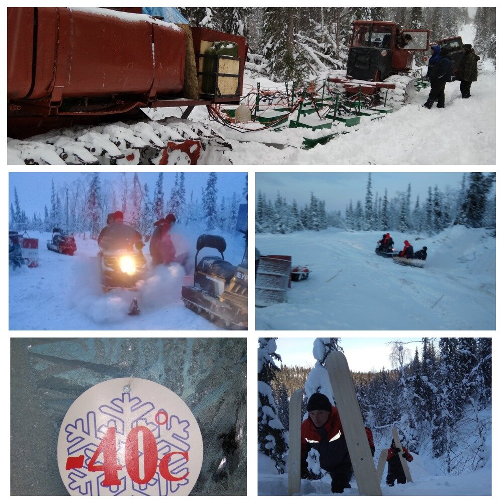 Фото и коллаж автора.