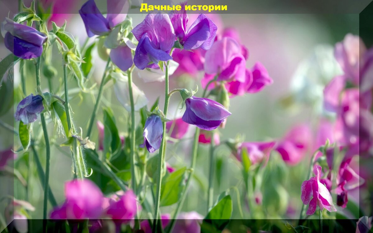 https://vk.com/photo-159774511_457246047