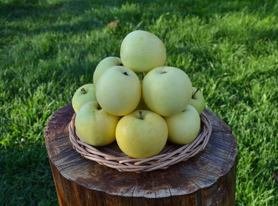 Налив белый