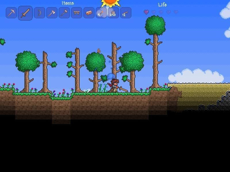 Скриншот из игры «terraria»