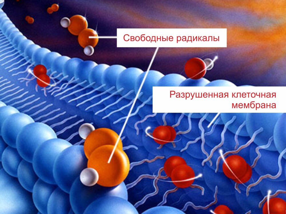 Источник: Яндекс.Картинки