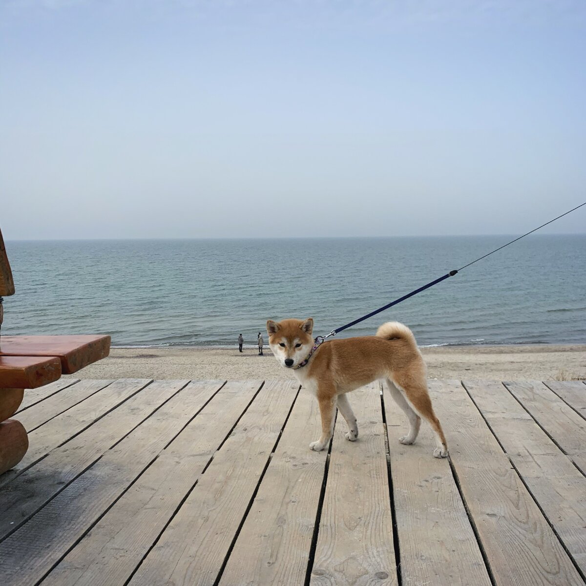Кики на море