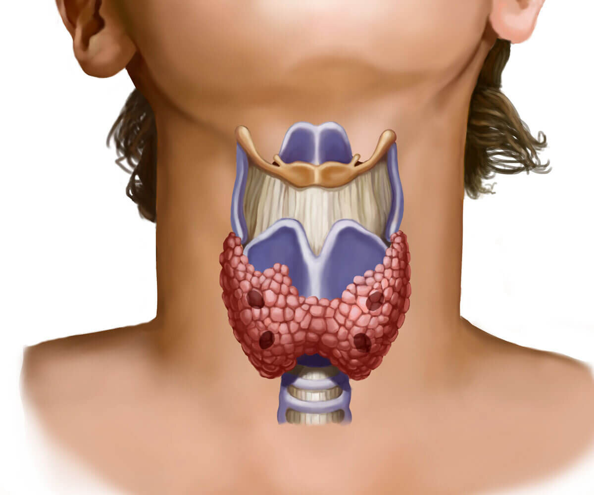 Щитовидной железы спб