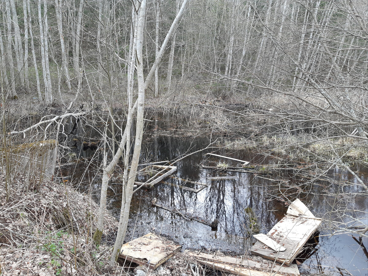 Буквально сегодня, на первой и единственной обследованной речке