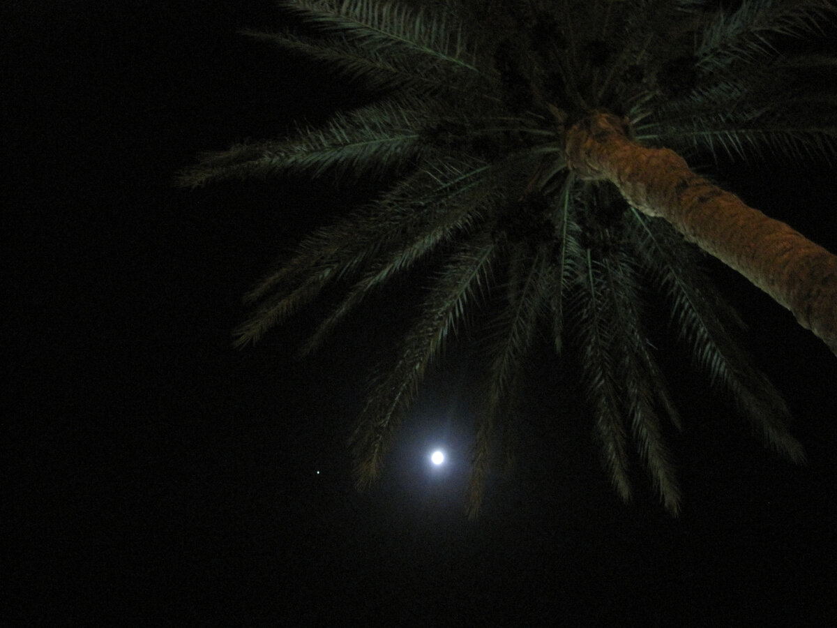 Ярко свети луна