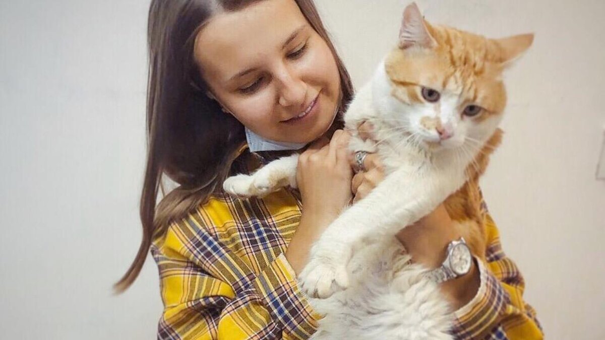 Фото из архива котокафе «Котя Мотя» 