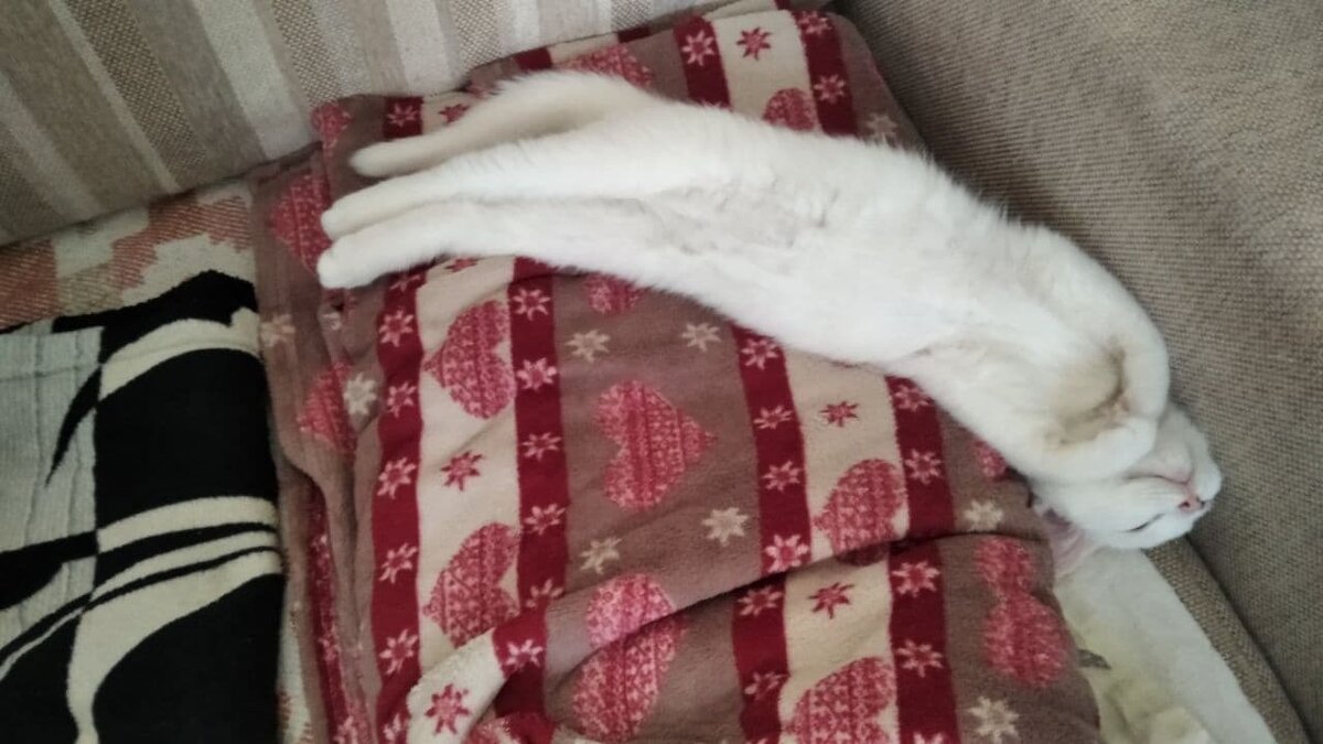 личное фото автора