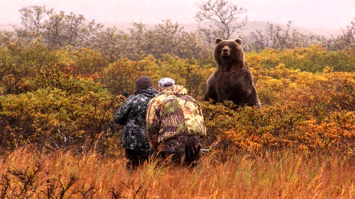 Последнее фото медведь