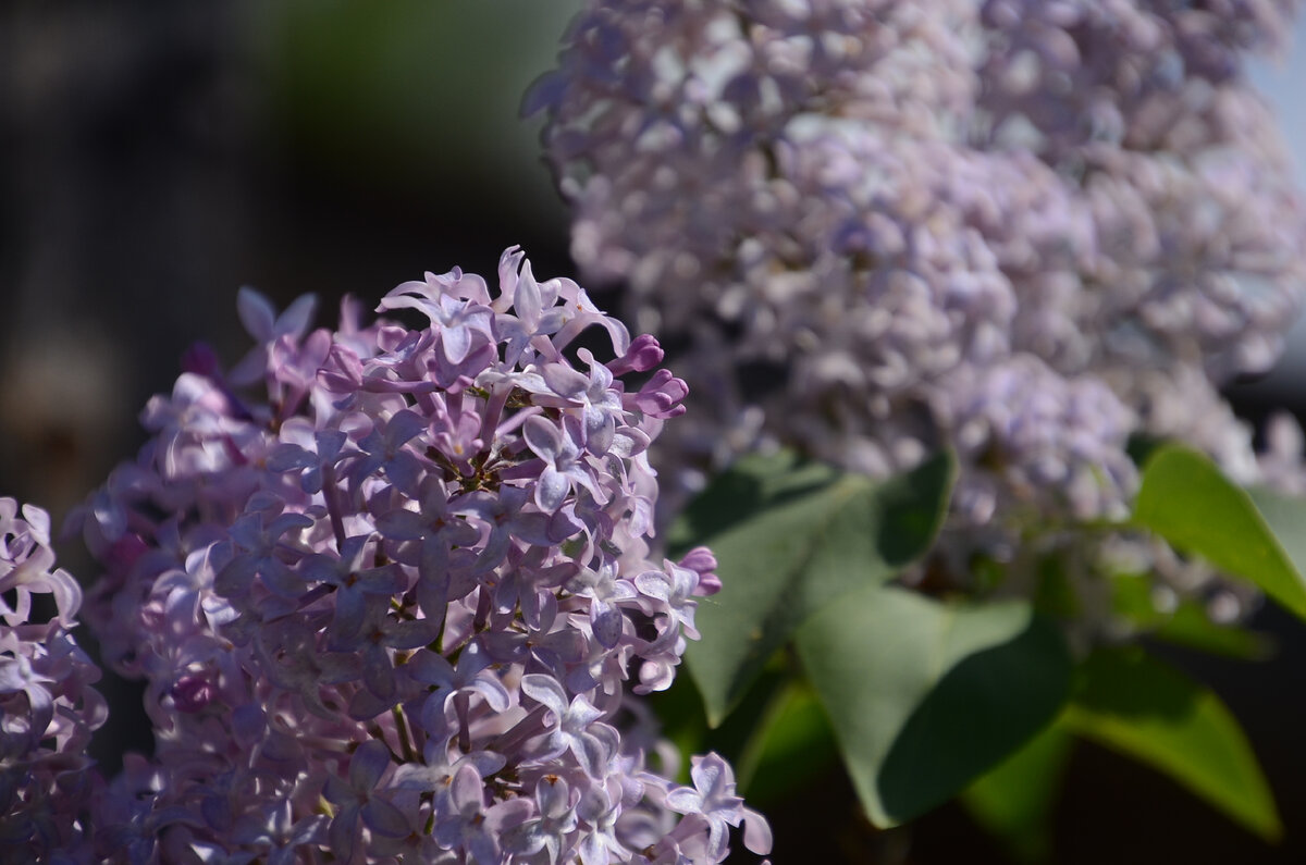 10-е задание ЕГЭ по русскому языку: авторские тесты | Люблю читать ...