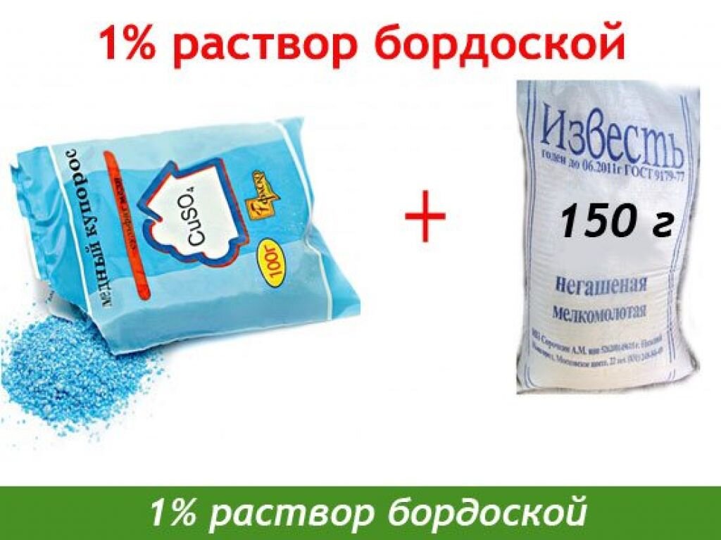 Раствор бордоской жидкости для летней обработки сада с концентрацией 1%.