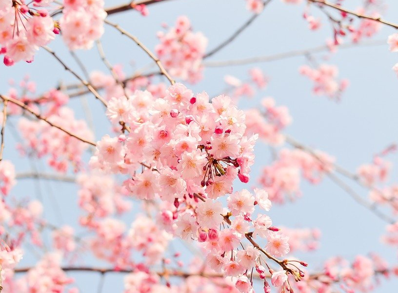 фото взято из открытого доступа