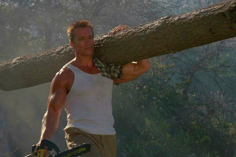 То самое бревно