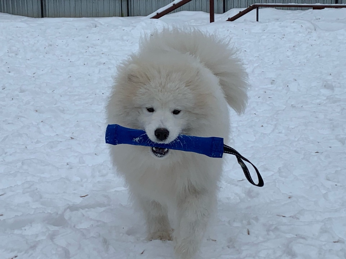 Луше 10 месяцев