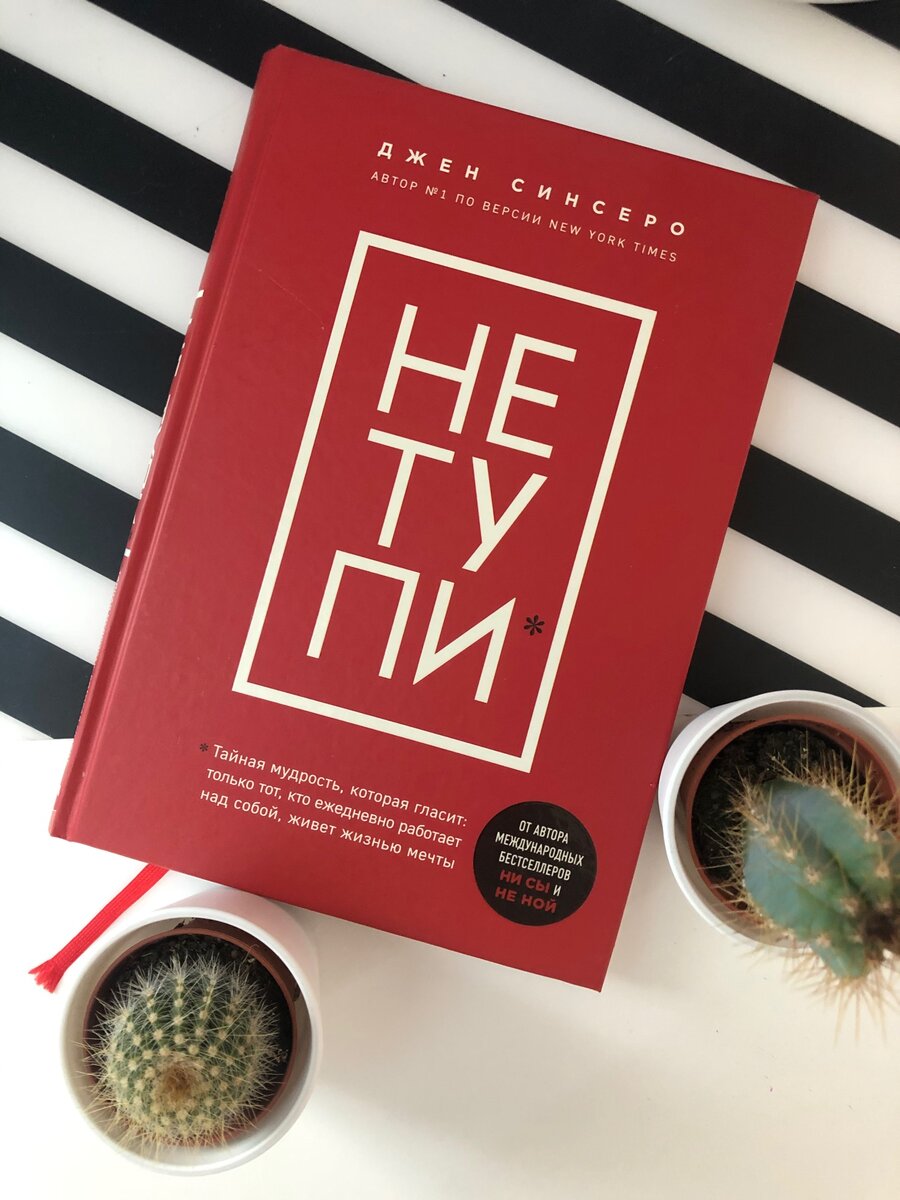 В книге «НЕ ТУПИ» Джен Синсеро читать можно о том, как добиться успеха и научиться мыслить позитивно, как достичь хорошей физической формы и наконец-то избавиться от наваливающихся на тебя проблем, о том, как наконец-то начать жить счастливо. Ведь по мнению автора успех не имеет конечной точки и каждый день открывает перед вами новые горизонты. Горизонты, которых вы вполне можете достичь, просто настроив себя соответствующим образом и отринув погружение и фиксацию на мелких неприятностях, неизбежно встречающихся на долгом пути. 
Для достижения таких результатов книга «НЕ ТУПИ» Синсеро приводит целый ряд методик и практик, которые помогут вам встать на путь совершенствования. И первым из этих правил, как в книге Джона Кехо «Подсознание может все!», является непоколебимая вера в себя и концентрация на своих целях. По мнению автора, помочь в этом вам поможет целый ряд полезных привычек. Это и периодическое прослушивание мотивационных роликов, и медитация, и саморазвитие, и манифест собственной жизни. Постоянное повторение афоризмов великих людей и знакомство с их биографией, ведение дневника, списка желаний и списка вещей за который вы бесконечно благодарны этой жизни. Все это позволит вам настроиться на нужный лад. А занятия дыхательной гимнастикой, растяжкой и утренней зарядкой помогут вам поддерживать ваше тело в должной физической форме. Кажется, это очень просто и в то же время очень сложно. Но следуя советам Джен Синсеро уже миллионы людей по всему миру смогли изменить свою жизнь.

Успех – это способ существования, постоянной адаптации и роста.

Что же касается по книге Джен Синсеро «НЕ ТУПИ» отзывов, то они носят достаточно противоречивый характер. С одной стороны, увлекательный сюжет, написанный простым и понятным языком с долей юмора и самоиронии. Большинство приведенных советов просты в реализации и советы автора действительно помогают их выполнить. Но с другой стороны в книге «НЕ ТУПИ» вы не найдете ничего нового, не сказанного предыдущих двух книгах писательницы. А целые пустые страницы, оставленные якобы для ваших записей, навивают мысль о коммерческом назначении этой книги. Все приведенные советы далеко не новы и для большинства читателей, уже знакомых с подобной литературой, будут бесполезны. В итоге книгу Джен Синсеро «НЕ ТУПИ» скачать можно посоветовать лишь тем, кто делает первые шаги на пути самосовершенствования, у остальных же книга вызовет больше разочарования чем принесет пользы.
