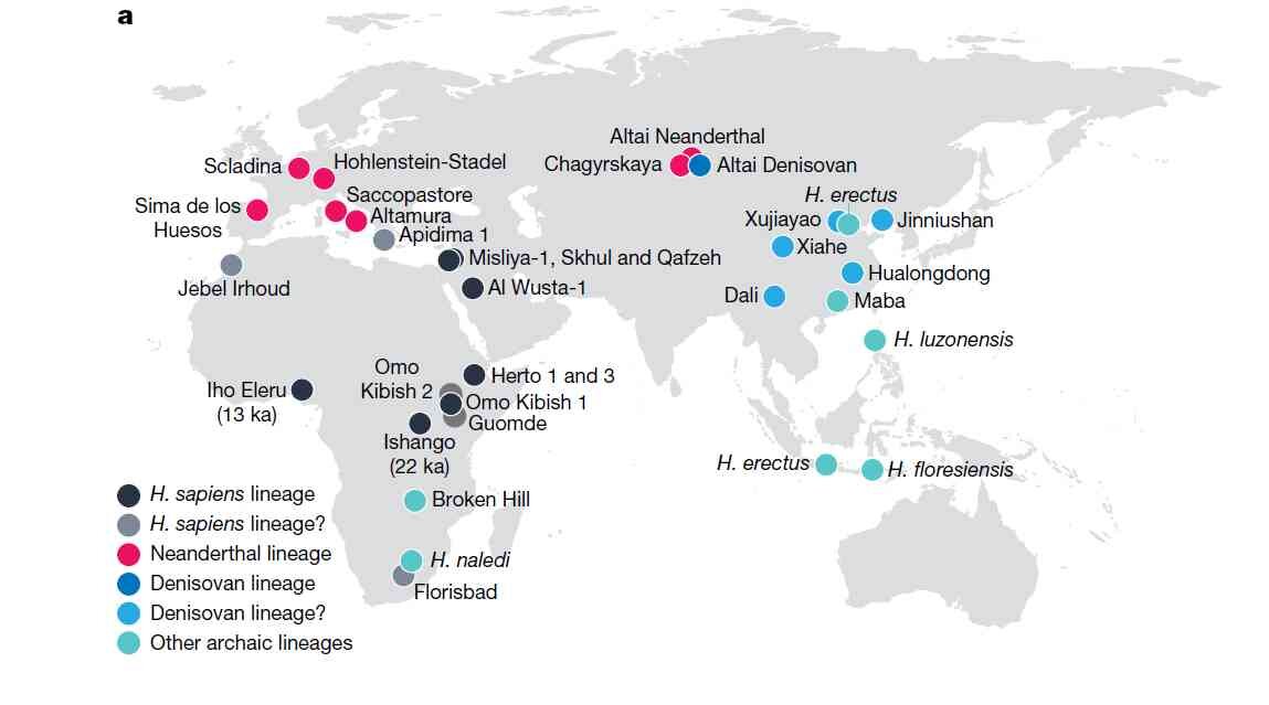 Нахождение останков Homo sapiens, неандертальцев, денисовцев и др. древних людей 