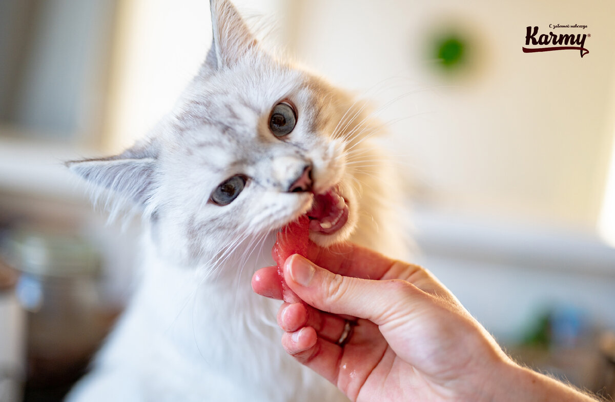 Авторское изображение с использованием картинки с фотостока "Unsplash"