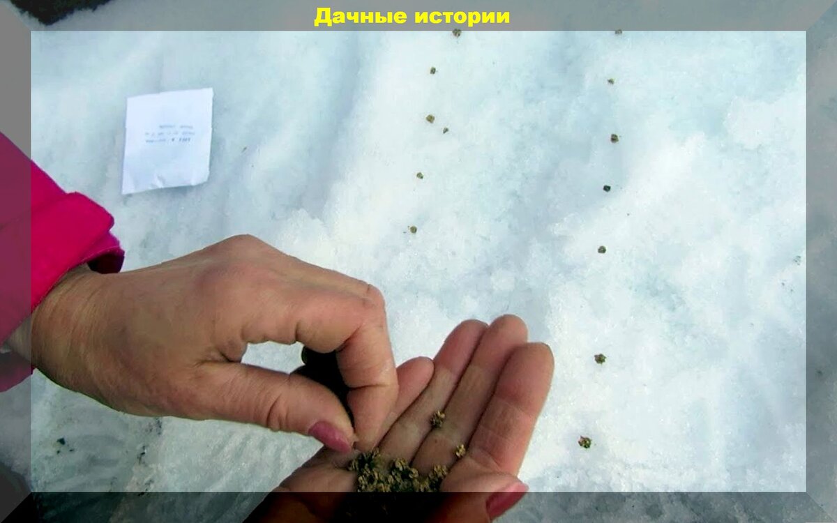 https://vk.com/photo-159774511_457249848
