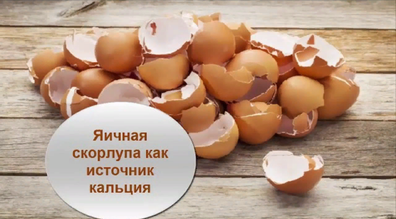 Яичную скорлупу яне выбрасываю .