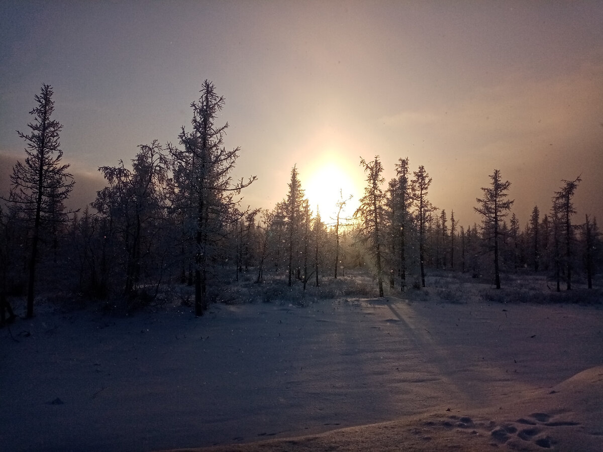 Красота