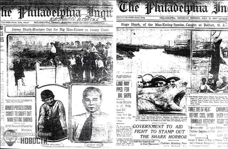 Газетный разворот с описанием тех событий и фото акул из Нью Джерси