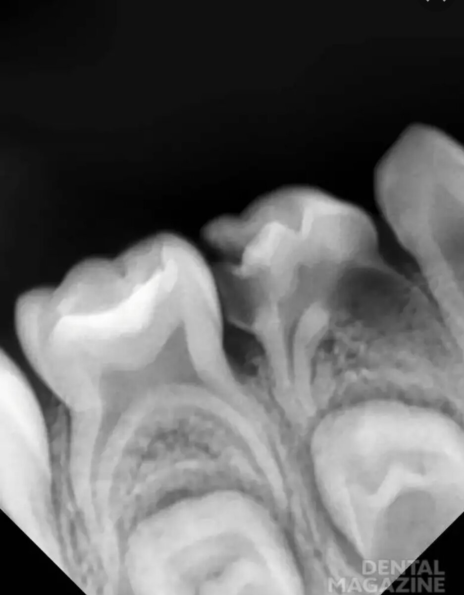 Фото из открытых источников. 