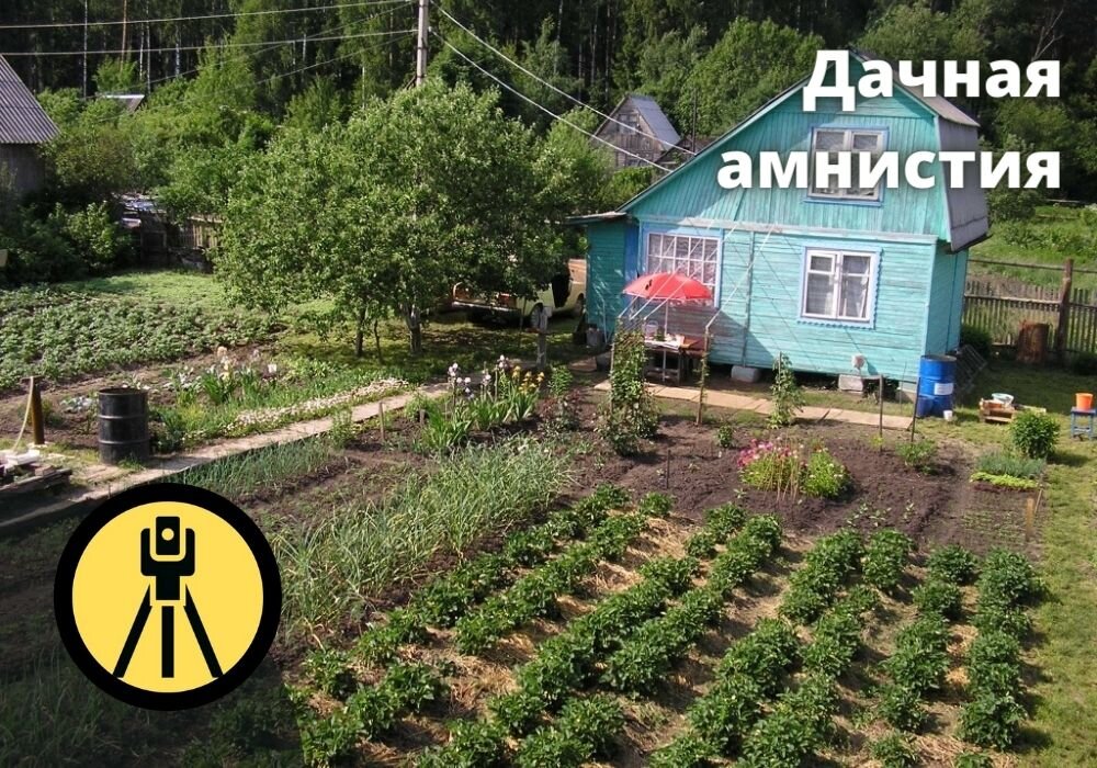 Дачная амнистия