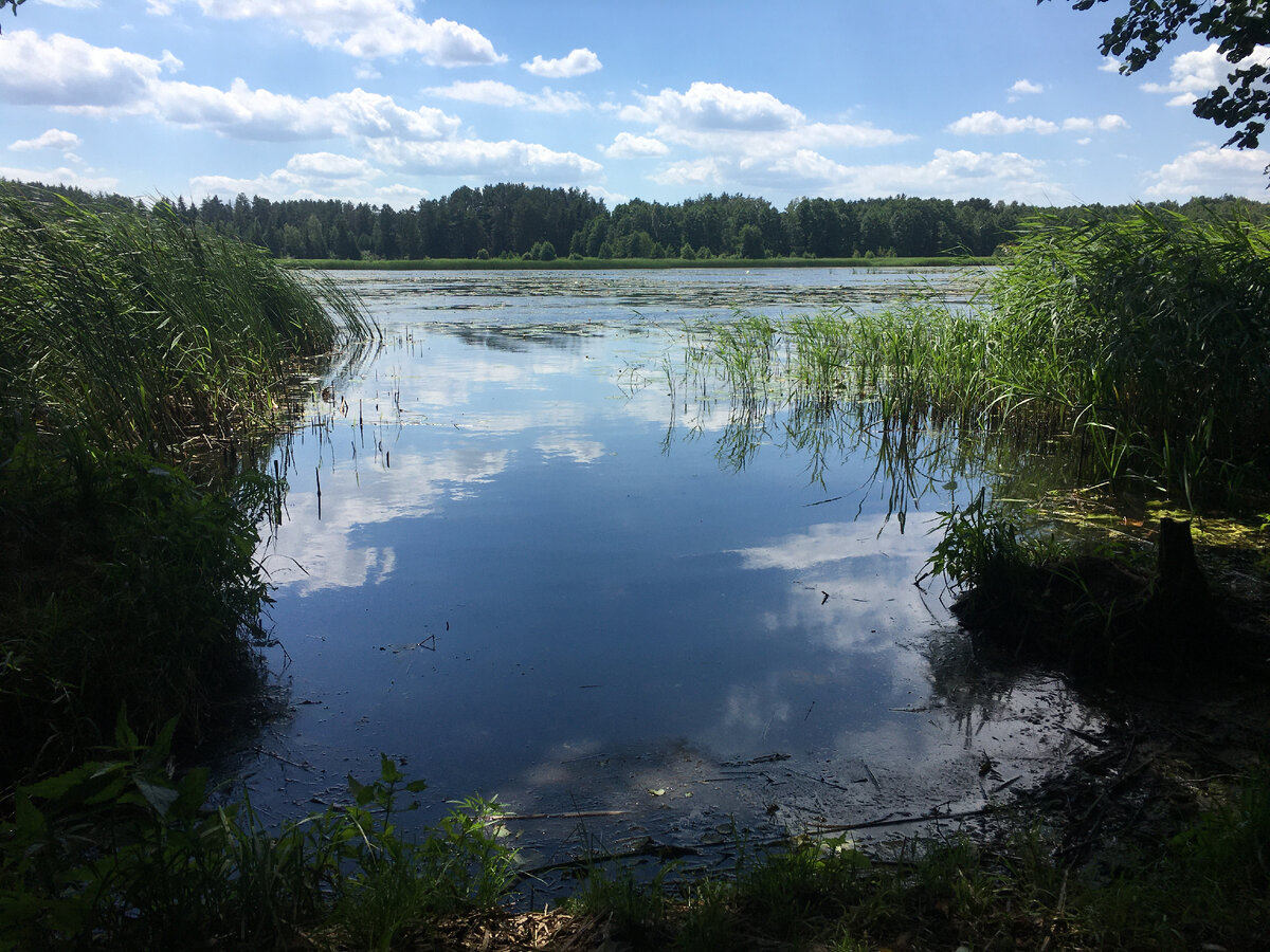 Это место, только летом. Здесь всегда много крупной плотвы и карася, ну и отдыхающих)))