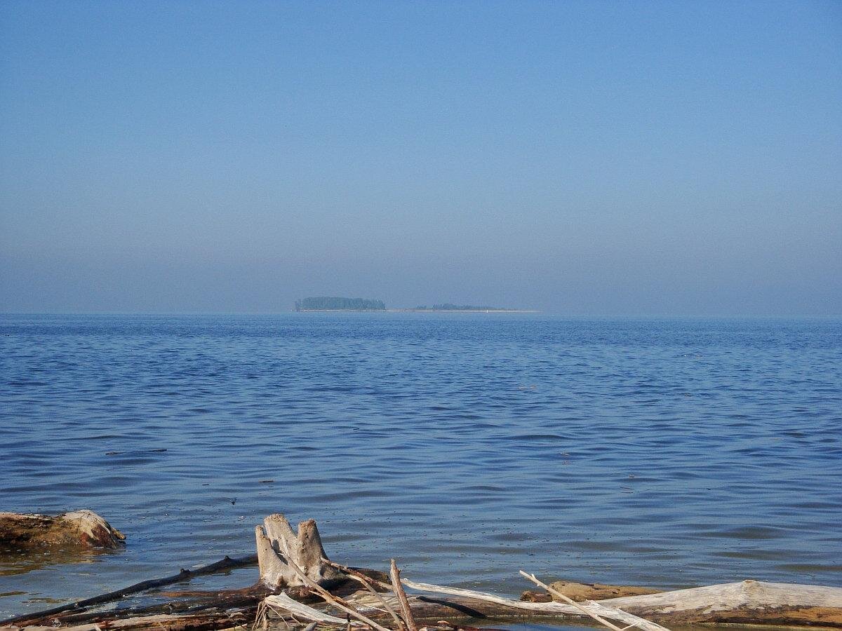 Обское водохранилище. Новосибирская область Обское море. Обское водохранилище Новосибирск. Бердск водохранилище. Берег Обского моря Новосибирск.