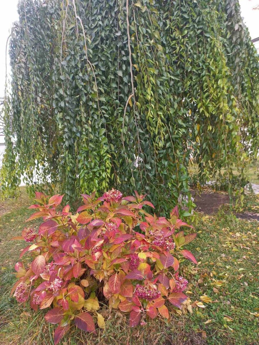 Фото автора.