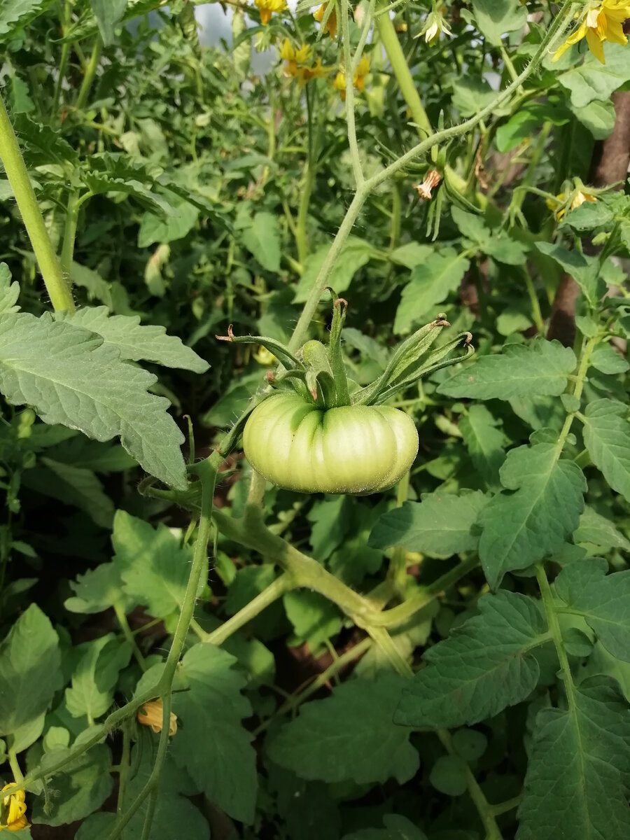 Фото взято с личного архива 