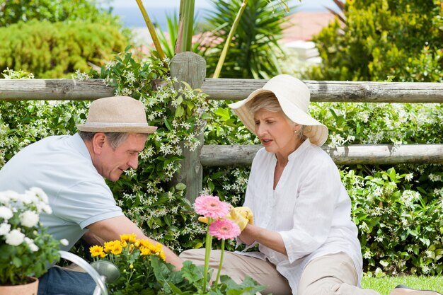 фото из свободных источников