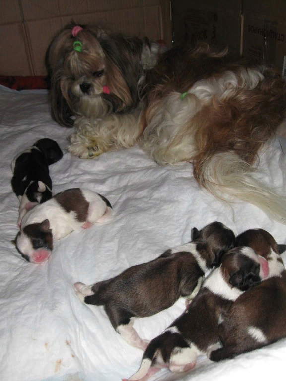 Господи, что же с ними делать?