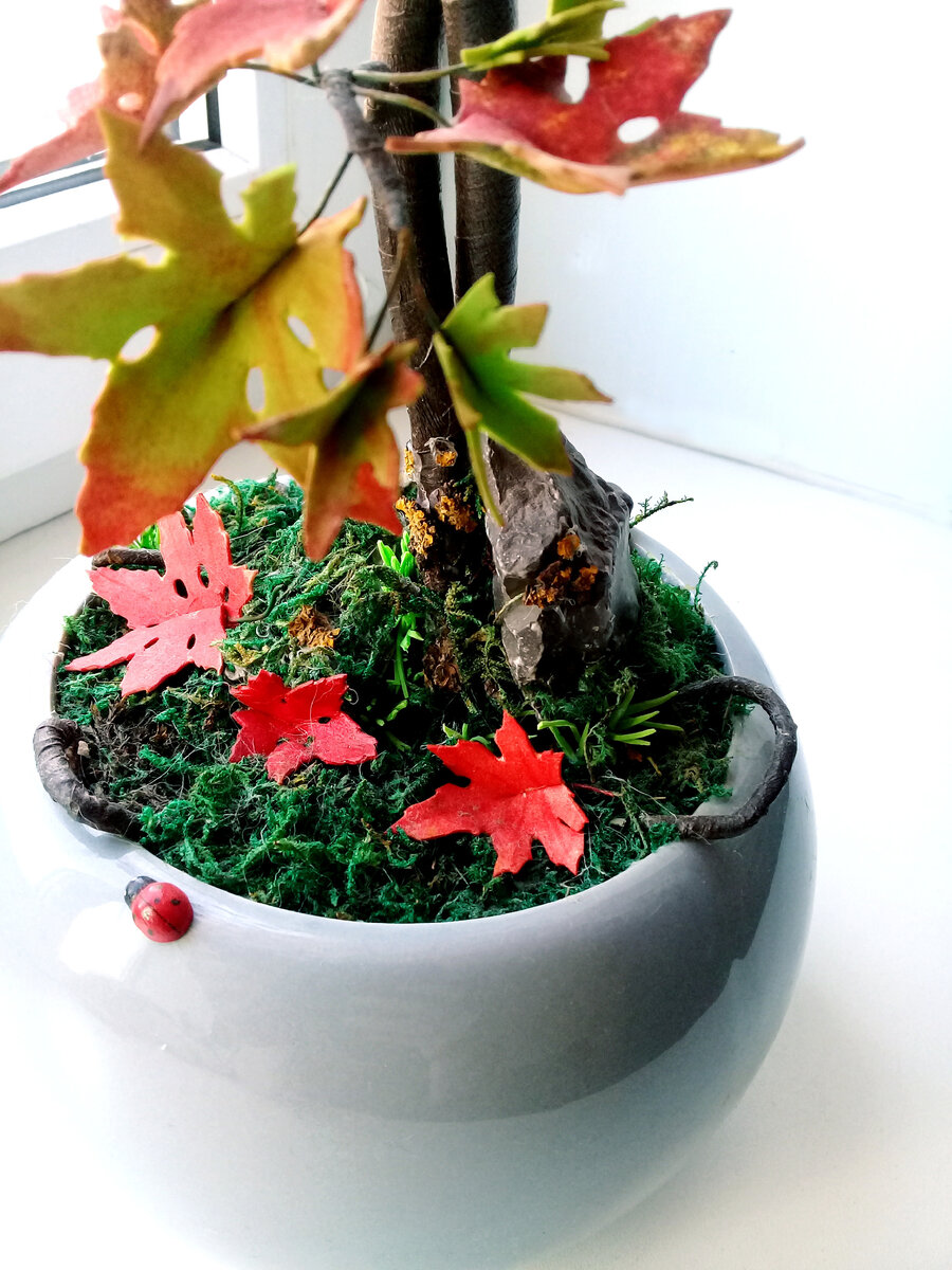 Та самая полянка