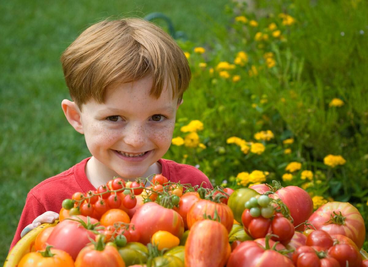 Есть и овощ в огороде. Овощи для детей. Овощи и фрукты для детей. Урожай для детей. Огород для детей.