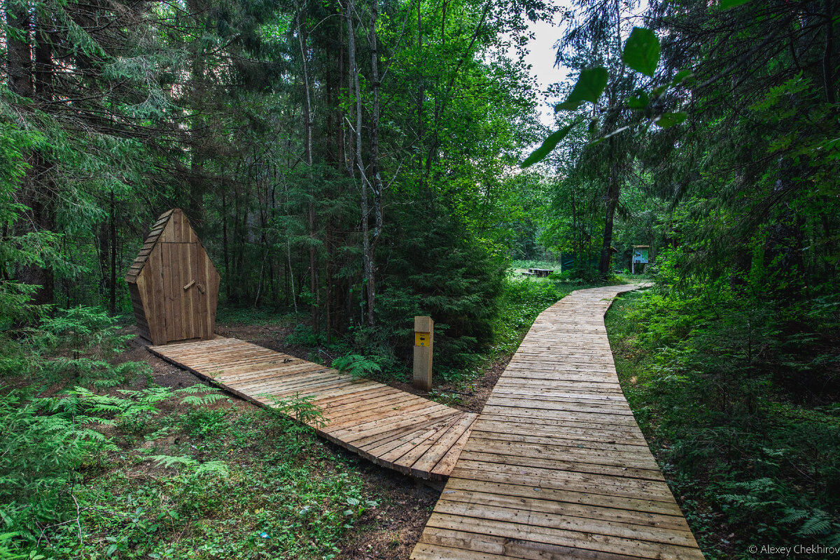 В лесной глуши постепенно прорастают блага цивилизации