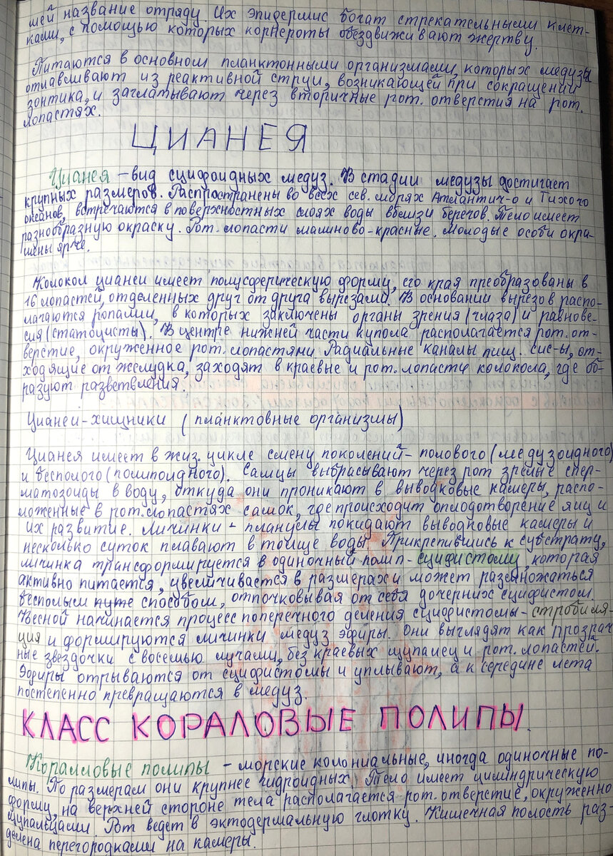 Секреты блестящей подготовки к ОГЭ/ЕГЭ по БИОЛОГИИ 2023 от легендарного  репетитора. Зоология (1 часть). Присоединяйся! | Репетитор-профессионал  Богунова В.Г. | Дзен