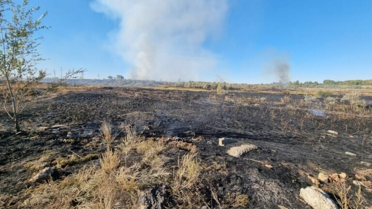    Оренбуржец, по чьей вине в Орске чуть не сгорели дачи, заплатит крупный штраф Андрей Севостьянов