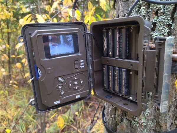 фотоловушка