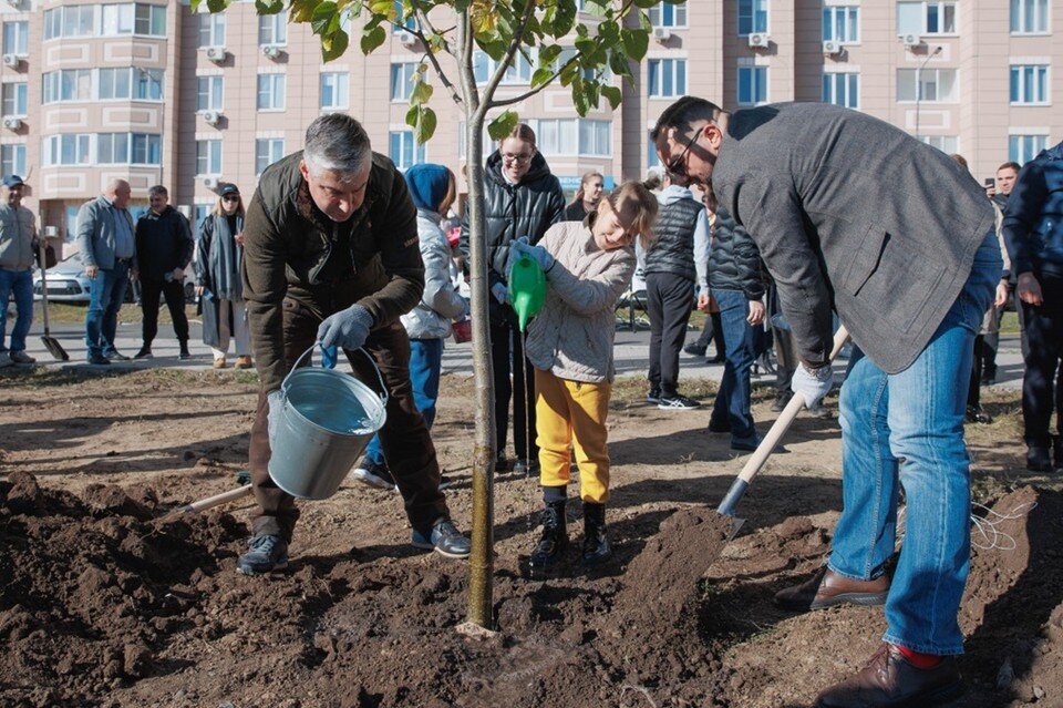     Аллею создали в микрорайоне Левенцовском. Фото: администрация Ростова-на-Дону.