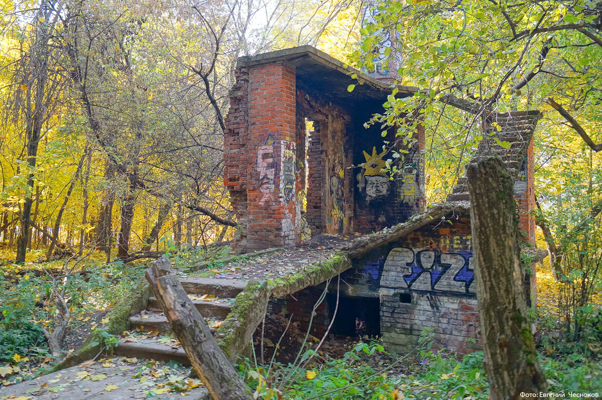 Диспансер левый берег химки. Развалина в Химкинском лесопарке. Овраг на левом берегу Химки.