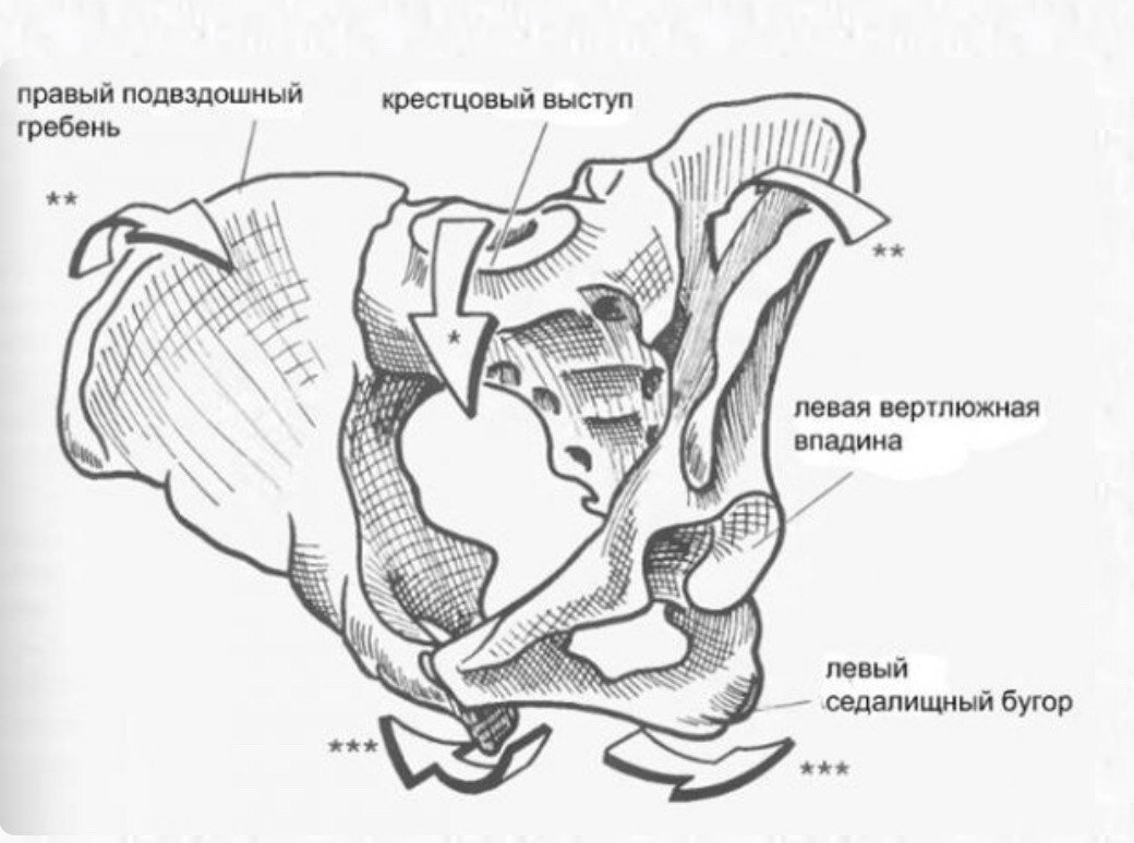 Движение в крестцово-повздошном сочленении