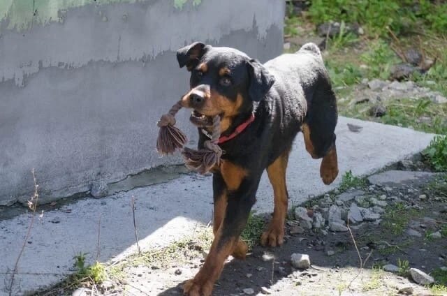    Фото: ЕМУП «Спецавтобаза»